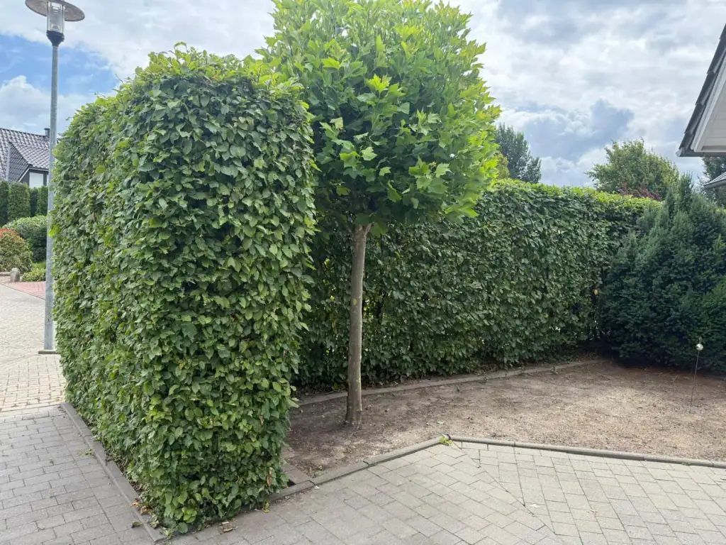 Hausmeisterservice von AllroundMove in Warendorf